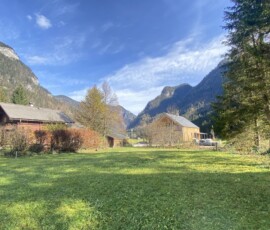 Grundstück in 4824 Gosau: Grundstück mit Bergblick, Grundstücksfläche 729 m²