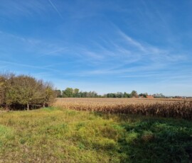 Entwicklungsgründe und Landwirtschaften in 4055 Pucking: 100.000 m² Gesamtflächen