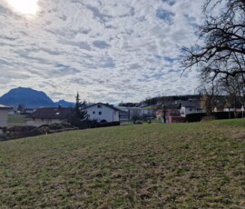 Grundstück in 4694 Ohlsdorf: Sonniges Grundstück, Grundstücksfläche 1.146 m²