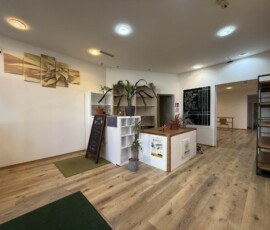 Geschäftslokal in 4020 Linz: ca. 112 m² Nutzfläche und Parkplätzen
