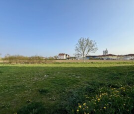 Grundstück in 4030 Pichling: 826 m² Grundstücksfläche